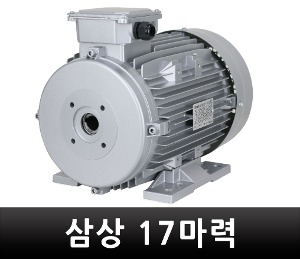 K-1 삼상모터 440V 17마력 고압세척기용 모터 T17-4H240