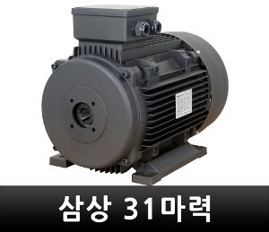 K-1 삼상모터 380V 31마력 고압세척기용 모터 T31-4H300